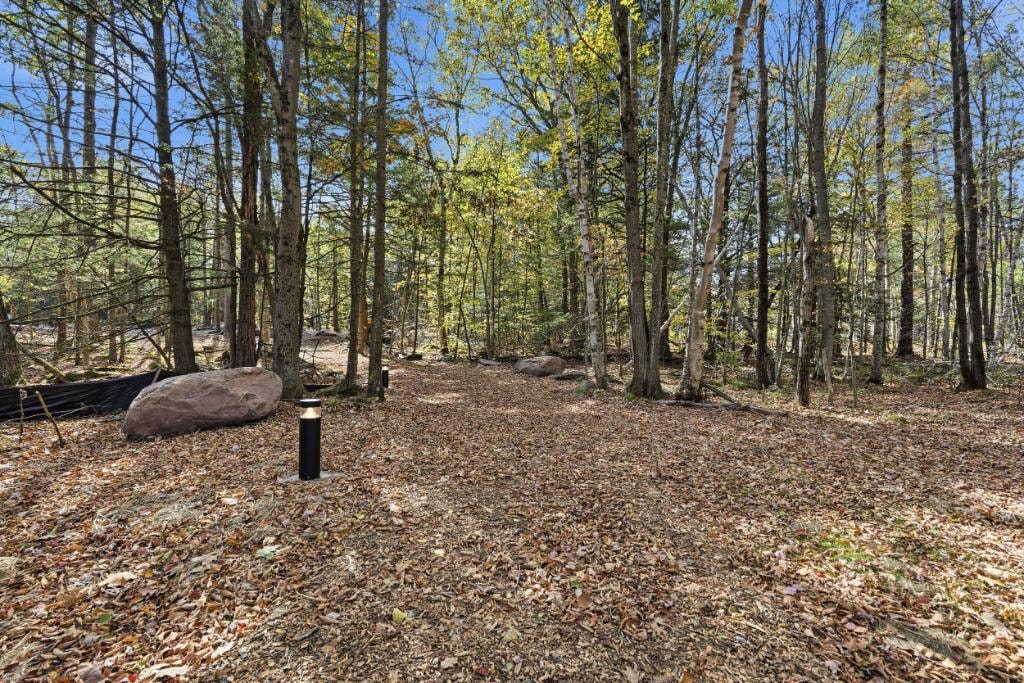 Wooded grounds at Ramble On Inn